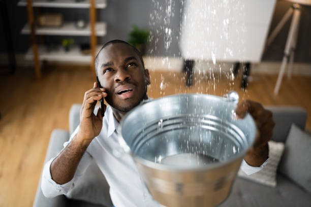 Best Water damage restoration near me  in Mayfield, PA