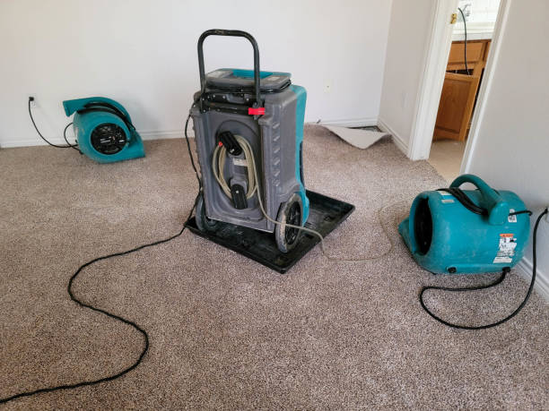 Best Water damage cleanup near me  in Mayfield, PA