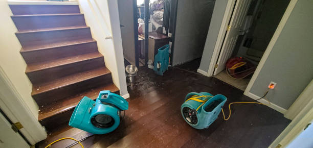 Best Water damage restoration cost  in Mayfield, PA