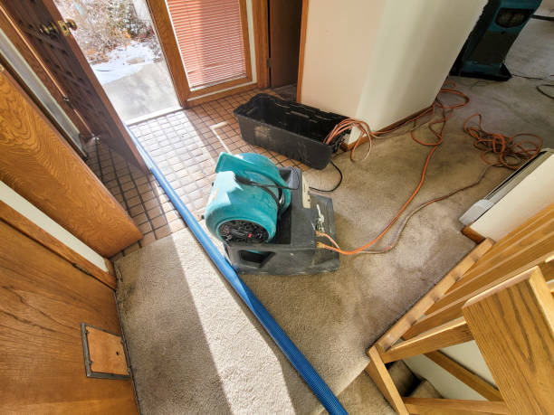 Best Sewage cleanup and water damage restoration  in Mayfield, PA