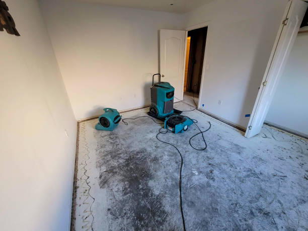 Best Flooded house restoration  in Mayfield, PA