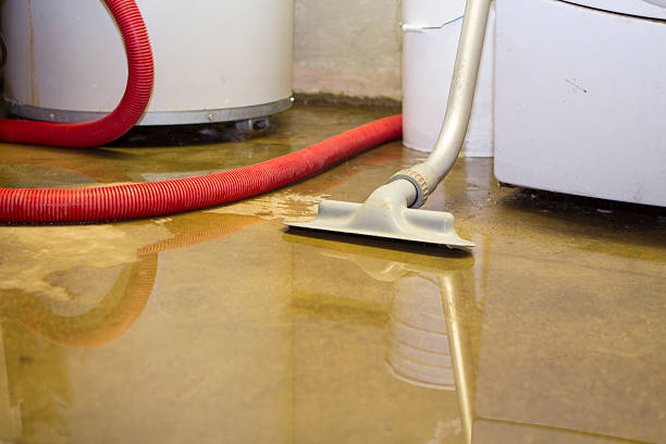 Best Fire Damage Restoration  in Mayfield, PA