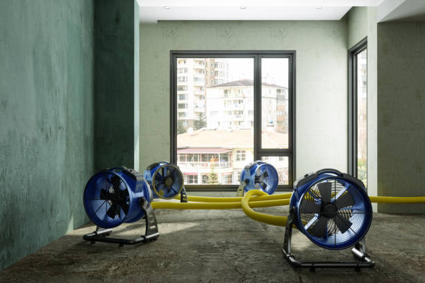 Sewage cleanup and water damage restoration in Mayfield, PA